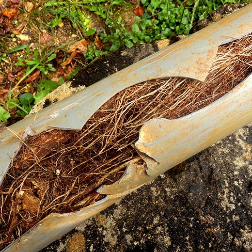 Same Day Drain Sewer & Rooter Pros Across Windham